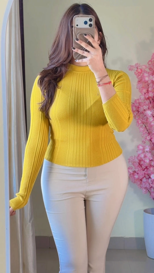 (Size-Free Size) Ribbed Top-  R455