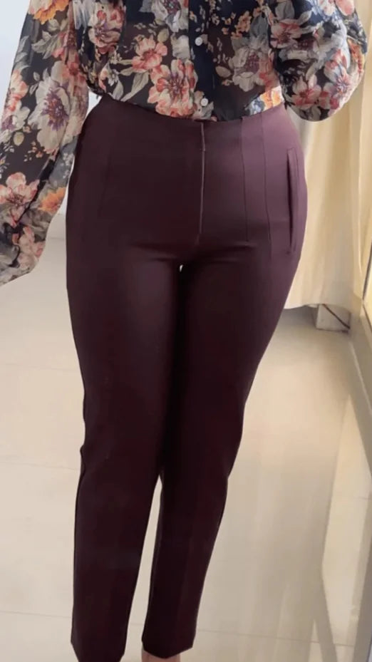 ZARA Brown Trouser (P-63)