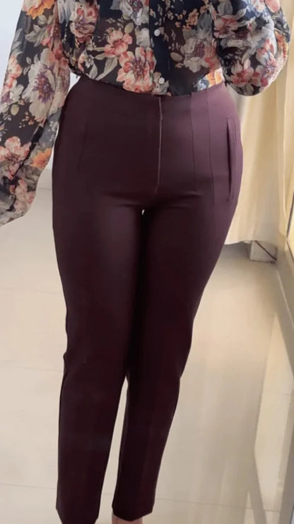 ZARA Brown Trouser (P-63)